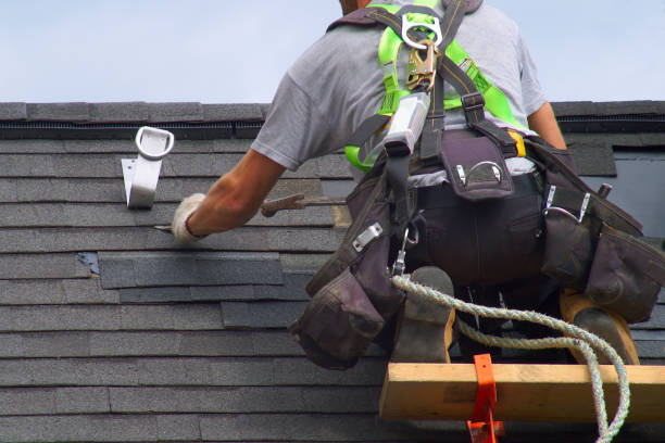 Best Roof Gutter Cleaning  in Radisson, NY