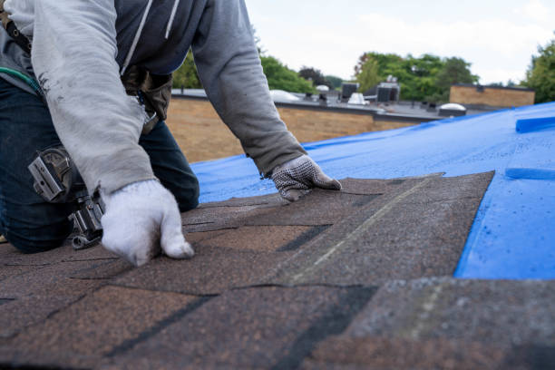 Best Storm Damage Roof Repair  in Radisson, NY