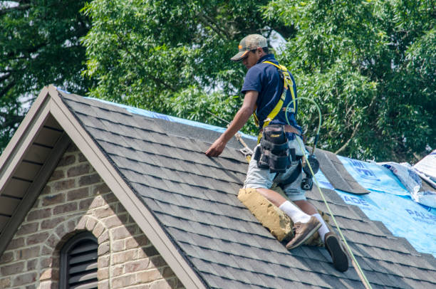 Best Shingle Roofing Installation  in Radisson, NY